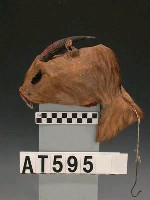 羌頭皮帽藏品圖，第3張